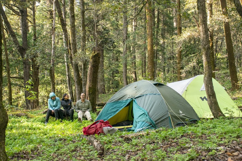 Jibhi Adventure - Jibhi Adventure H9W2+CR5, Banjar, Jibhi, Bini, Himachal Pradesh 175123, India