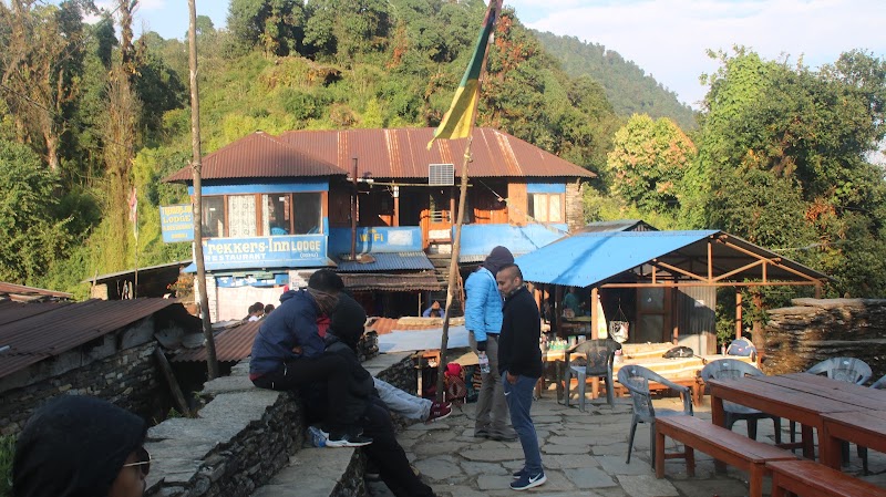 pittam deurali - pittam deurali Nepal, Lumle, Annapurna-7