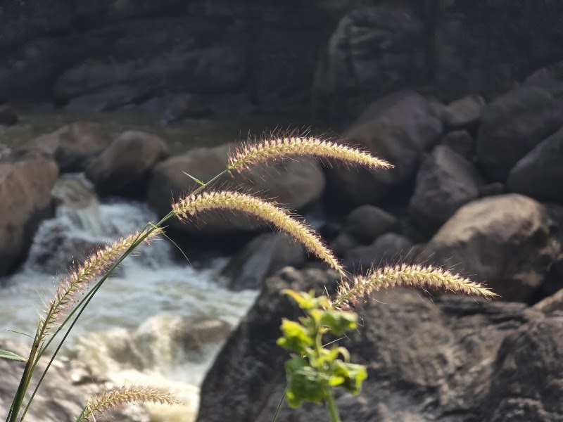 Kandiyar Rocks Waterfalls Viewpoint - Kandiyar Rocks Waterfalls Viewpoint XX9W+Q9P, Kallarkutty Dam Rd, Keralam 685562, India