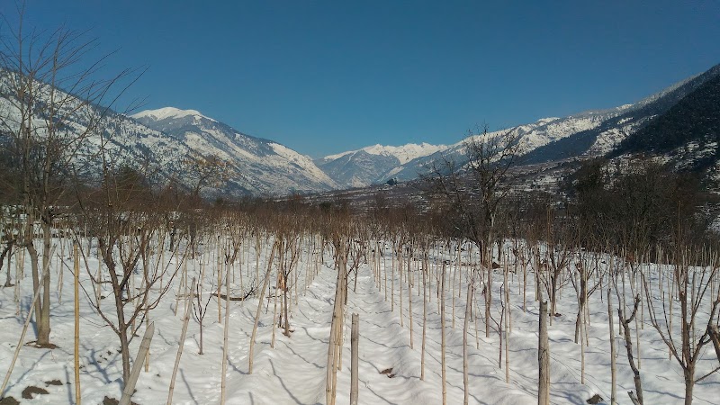 Garden Stay Shirar - Garden Stay Shirar, 348G+4Q7, Kullu, Himachal Pradesh 175128, India
