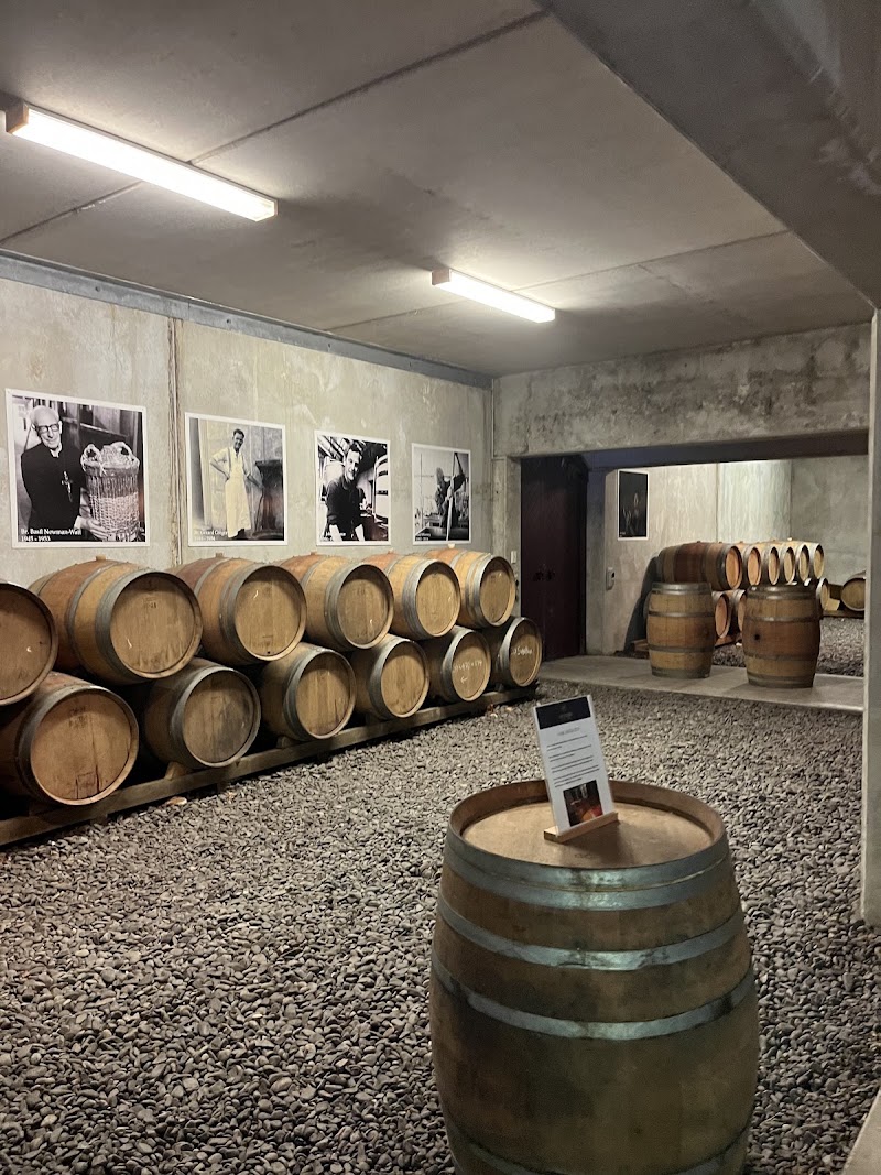 Napier Tours - Wineries Tour New Zealand - Napier Tours - Wineries Tour New Zealand, 100 Marine Parade, Napier 4110, New Zealand