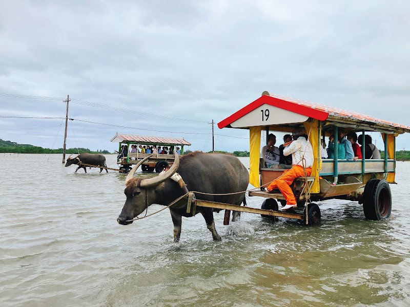 Yubu Island Water Buffalo Cart - Yubu Island Water Buffalo Cart Japan, 〒907-0011 Okinawa, Yaeyama District, Ishigaki, 八島町２丁目724°20'52. 123°55'59.