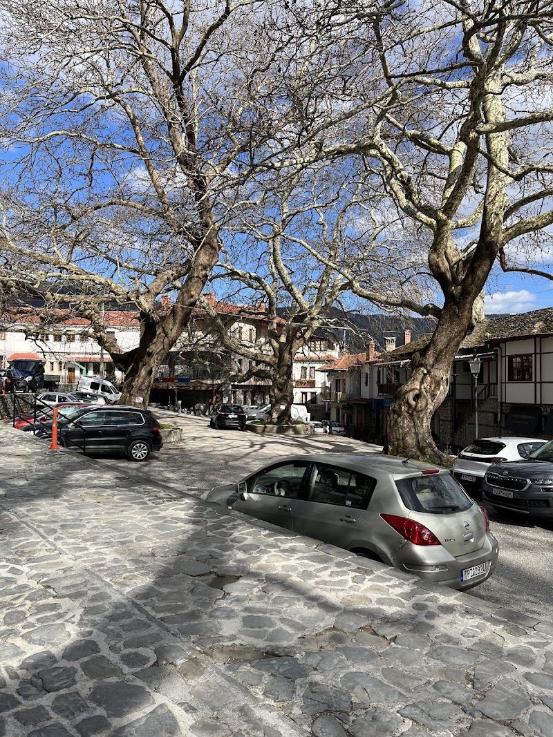Metsovo - Metsovo Metsovo 442 00, Greece