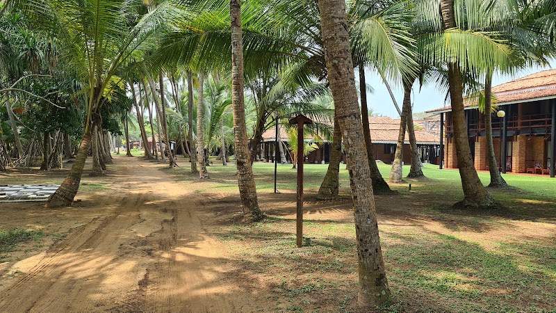 Bentota Beach - Bentota Beach, CXGW+23V, Beach Rd, Bentota, Sri Lanka