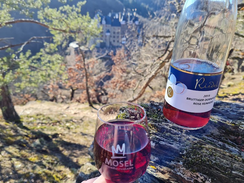 Mosel Weingut & Pension Riedel - Mosel Weingut & Pension Riedel, Hauptstraße 34, 56814 Bruttig-Fankel, Germany