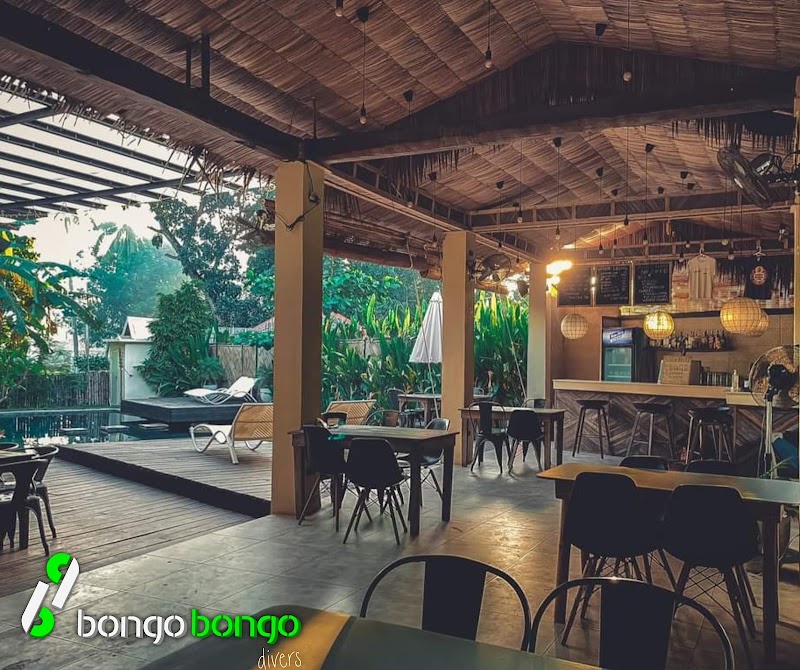 Bongo Bongo Divers - Bongo Bongo Divers, J. Basa St, Dauin, 6217 Negros Oriental, Philippines