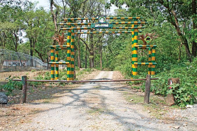 DOOARS TOURISM - DOOARS TOURISM, Dooars, Uttarpatkapara, Rajabhat Khawa, West Bengal 735227, India