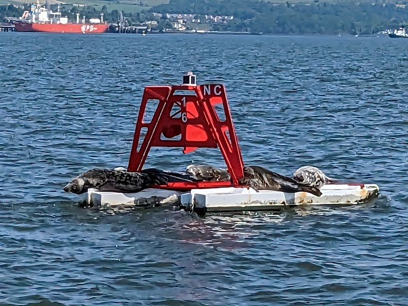 Forth Boat Tours - Forth Boat Tours, Unit 7, port edgar marina, Queensferry, South Queensferry EH30 9SQ, UK