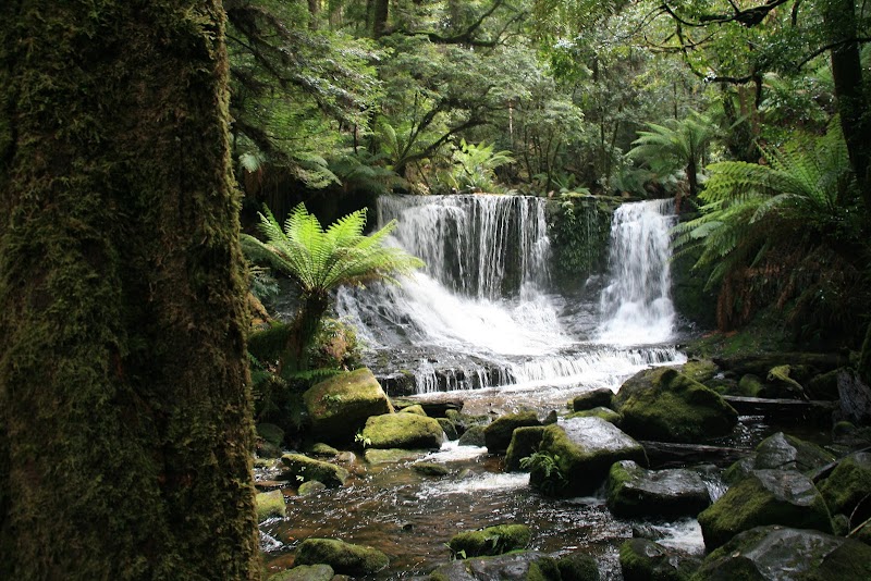 Mount Field National Park - Mount Field National Park, 66 Lake Dobson Rd, National Park TAS 7140, Australia