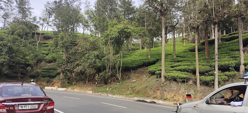 Government Tea Estate - Government Tea Estate 8QJX+QX6, Coonoor, Tamil Nadu 643102, India
