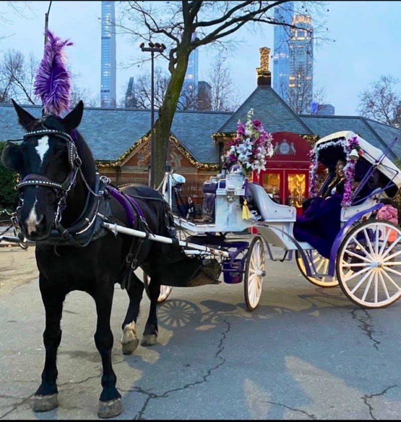 NYC Central Park Horse Carriage Rides since 1858 - NYC Central Park Horse Carriage Rides since 1858 7th Ave & 59th Street, 180 Central Park S Drive, New York, NY 10019, USA