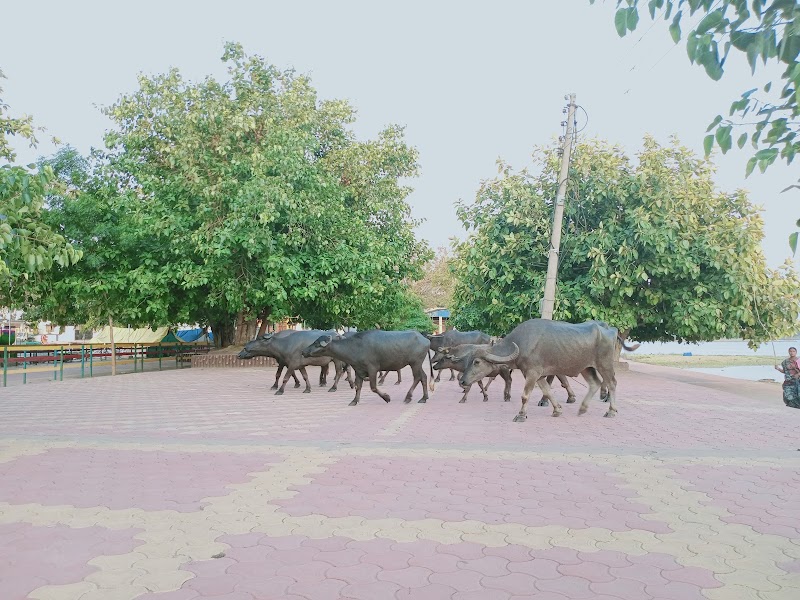 Gau Ghat - Gau Ghat, PH9P+V2H, Shivrinarayan, Chhattisgarh 495557, India