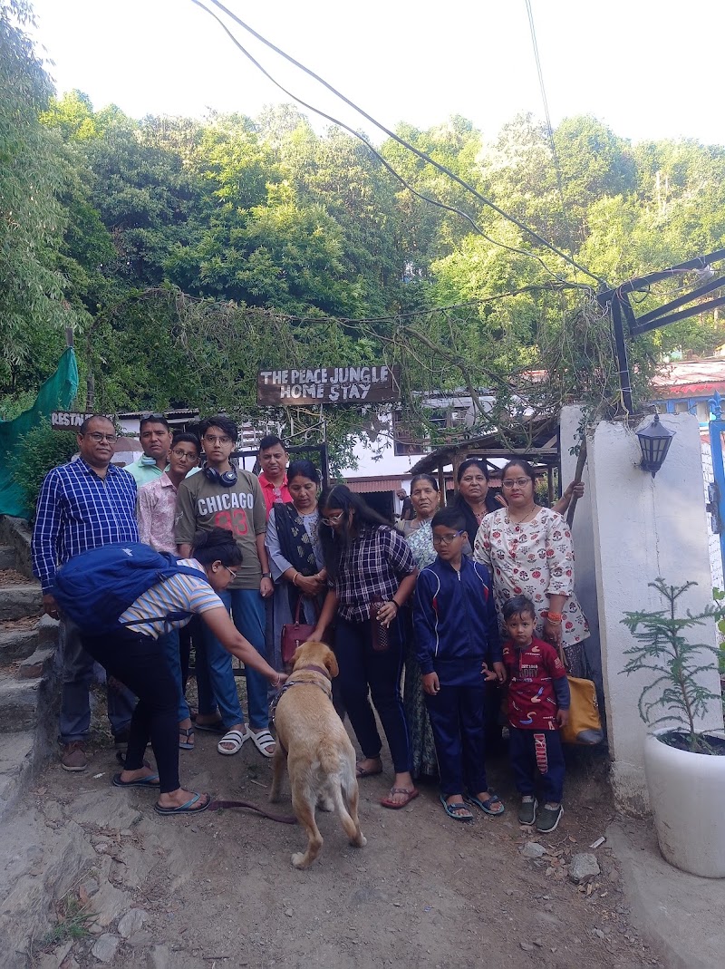 The Peace Jungle Home Stay - The Peace Jungle Home Stay, Chali Ki Jali, Mukteshwar, Uttarakhand 263138, India