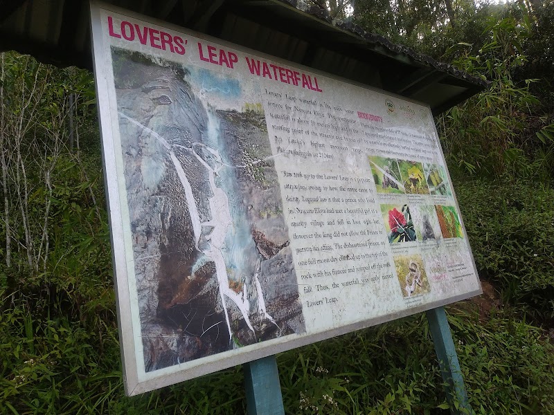 Lover's Leap Waterfall - Lover's Leap Waterfall Nuwara Eliya 22200, Sri Lanka