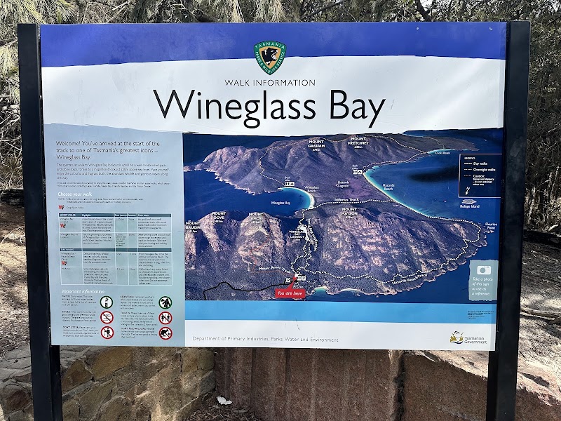 Coles Bay Lookout - Coles Bay Lookout, Freycinet TAS 7215, Australia