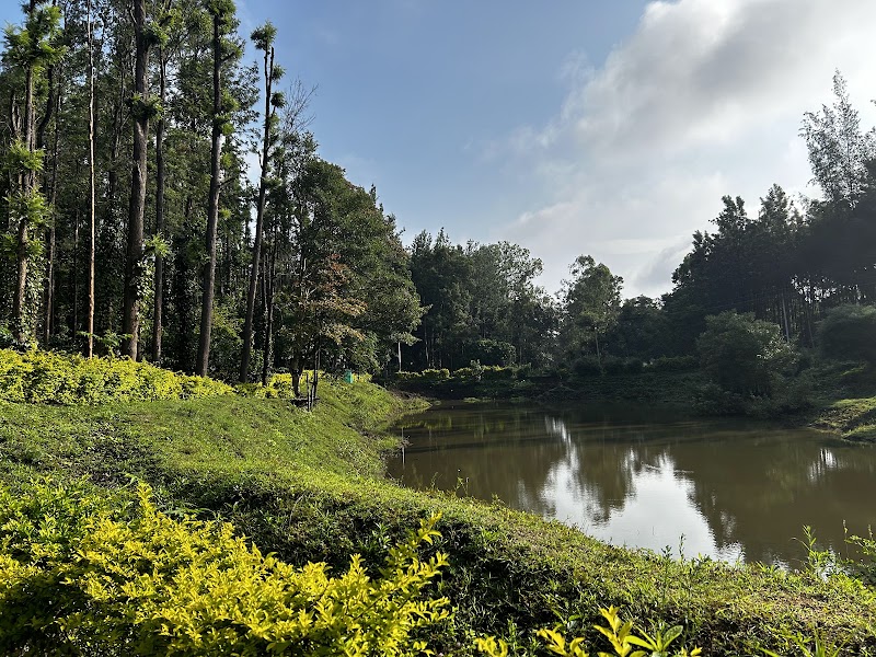 Parking Lot, B R Hills - Parking Lot, B R Hills, Biligiriranganabetta, Karnataka 571441, India