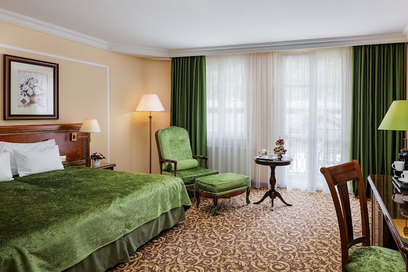 Carlsbad Plaza Medical Spa & Wellness Hotel - Carlsbad Plaza Medical Spa & Wellness Hotel, Mariánskolázeňská 25, 360 01 Karlovy Vary-Karlovy Vary 1, Czechia