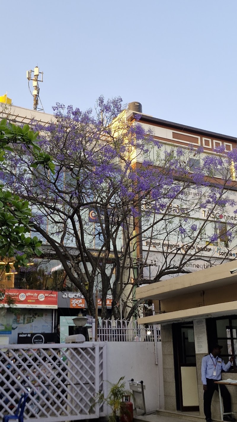 National Institute of Fashion Technology - National Institute of Fashion Technology, No. 21st, 16th Cross, Street, 27th Main Rd, Sector 1, PWD Quarters, 1st Sector, HSR Layout, Bengaluru, Karnataka 560102, India