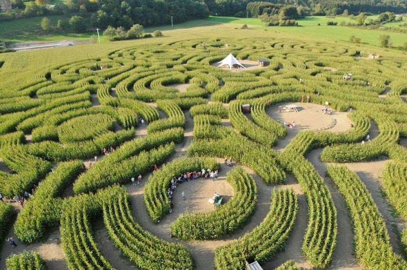 The Labyrinth of Barvaux-sur-Ourthe - The Labyrinth of Barvaux-sur-Ourthe, Chem. du Hasard, 6940 Durbuy, Belgium