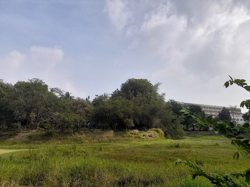 Tavarekere Park - Tavarekere Park, WJH2+FW7, Tank Bund Rd, Bhavani Nagar, S.G. Palya, Bengaluru, Karnataka 560029, India
