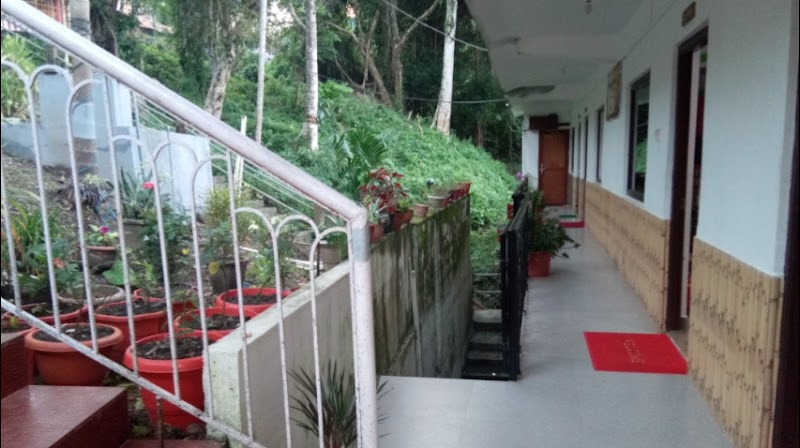 Downing street inn, a perfect home stay