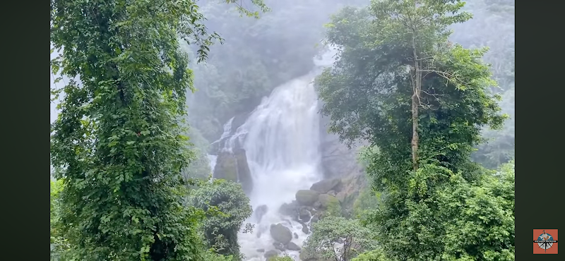 Munnar - Munnar 33Q6+34C, Munnar - Udumalpet Rd, Nullatanni, Munnar, Kerala 685612, India