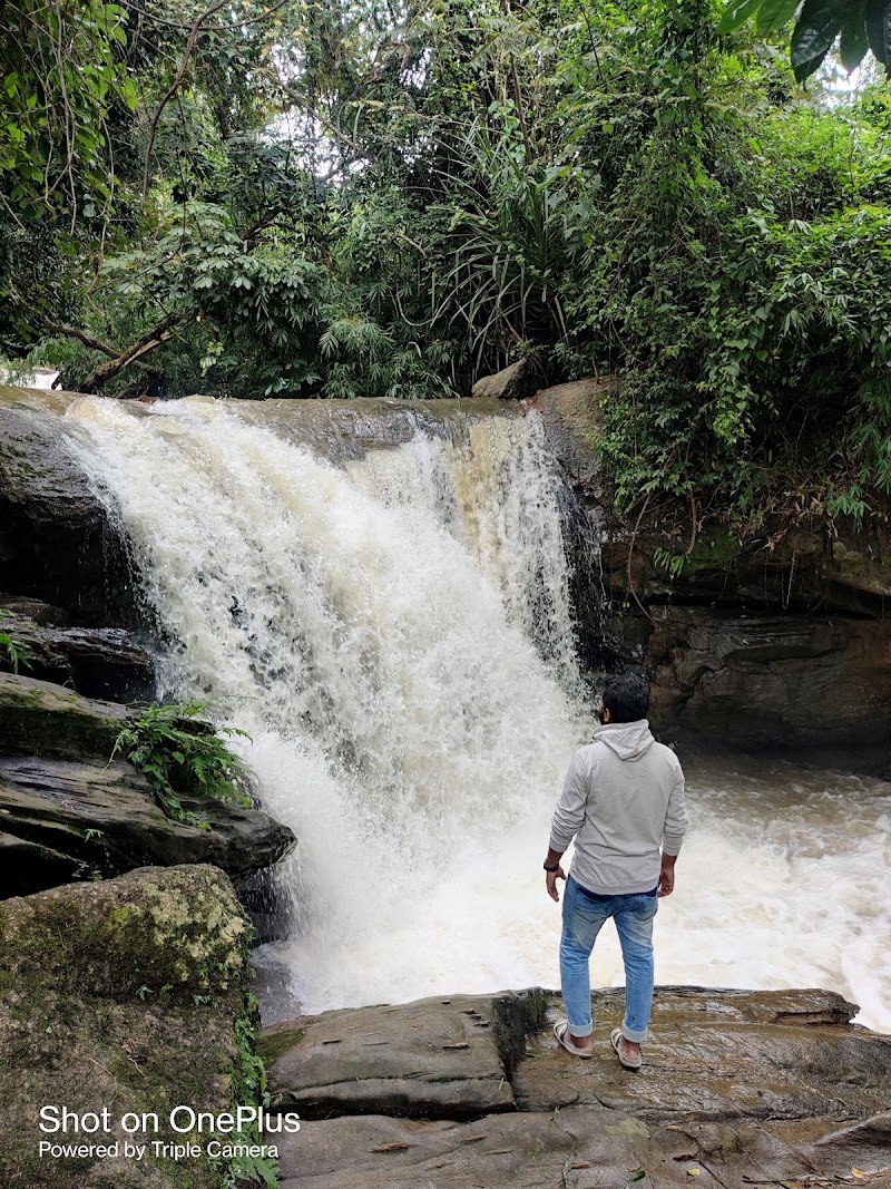 Abbe Gundi Falls - Abbe Gundi Falls 2M6C+96C, Devaladakere, Karnataka 573165, India