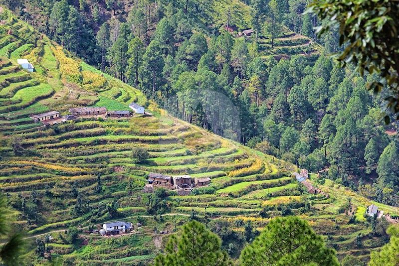 Whispering Pines Himalayan Retreat - Whispering Pines Himalayan Retreat, Village Bhamorikhal, Jwarna,, PO Kanatal, Off Mussoorie - Chamba Road, Dhanolti, Tehri Range, Uttarakhand 249145, India
