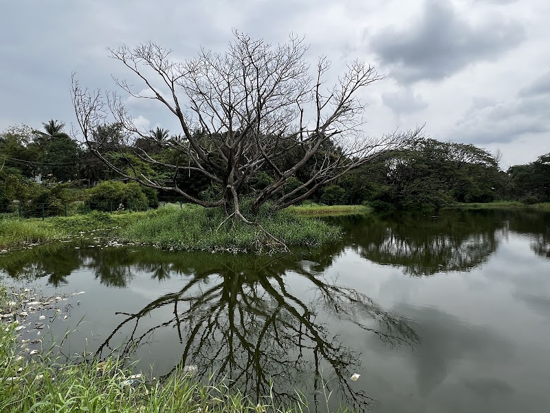 Botanical Garden Lingambudhi Lake ಸಸ್ಯಶಾಸ್ತ್ರ ವಿಶೇಷ ಉದ್ಯಾನ, ಲಿಂಗಾಂಬುಧಿ ಕೆರೆ. - Botanical Garden Lingambudhi Lake ಸಸ್ಯಶಾಸ್ತ್ರ ವಿಶೇಷ ಉದ್ಯಾನ, ಲಿಂಗಾಂಬುಧಿ ಕೆರೆ., 7JF8+7RQ, Lingambudhi Kere, Ramakrishnanagar, Dattagalli, Karnataka 570034, India