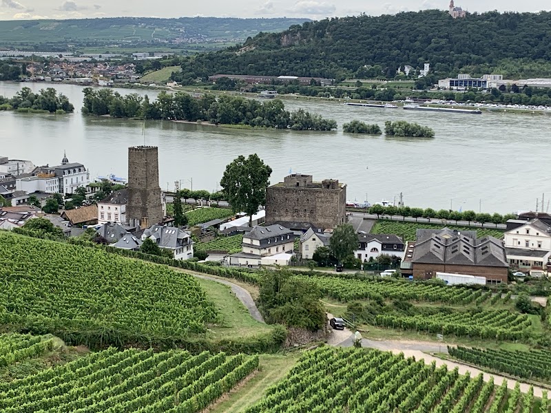 Niederwald Monument - Niederwald Monument, 65385 Rüdesheim am Rhein, Germany