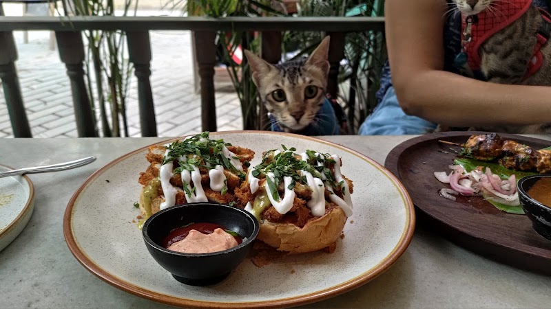 Bohemians - Bohemians 966, 12th Main Rd, Doopanahalli, Indiranagar, Bengaluru, Karnataka 560008, India