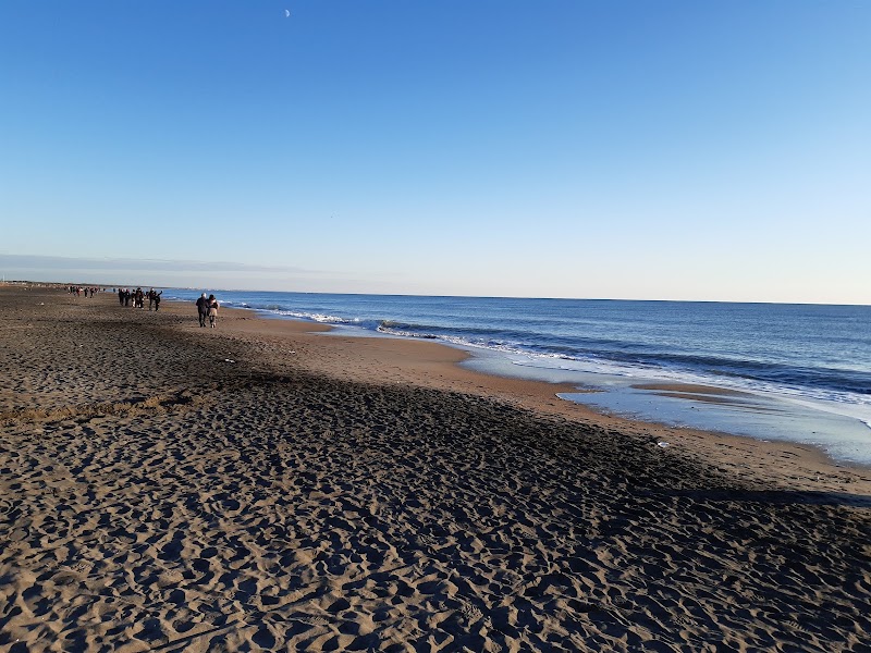 Spiaggia libera Bianca - L’Amanusa Beach - Spiaggia libera Bianca - L’Amanusa Beach, Lungomare Amerigo Vespucci, 144, 00122 Lido di Ostia RM, Italy