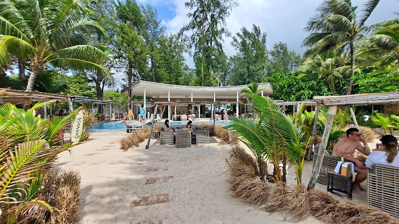 The Lazy Coconut - The Lazy Coconut, 202/88, Bang Tao Beach, ตำบลเชิงทะเล อำเภอถลาง ภูเก็ต 83110, Thailand