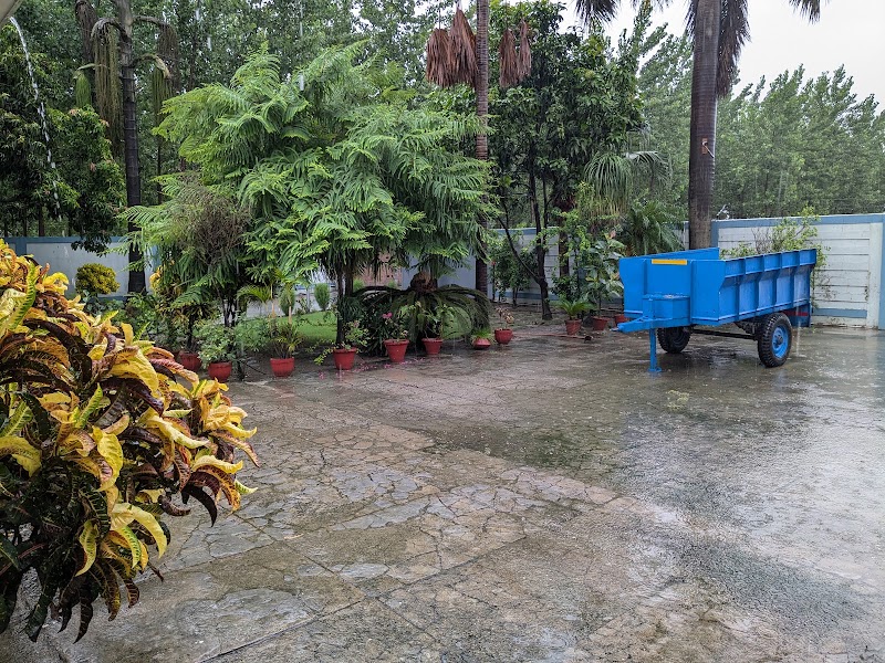 Tali farms - Tali farms, H.no, 1, po, Tali, Bazpur, Uttarakhand 262401, India