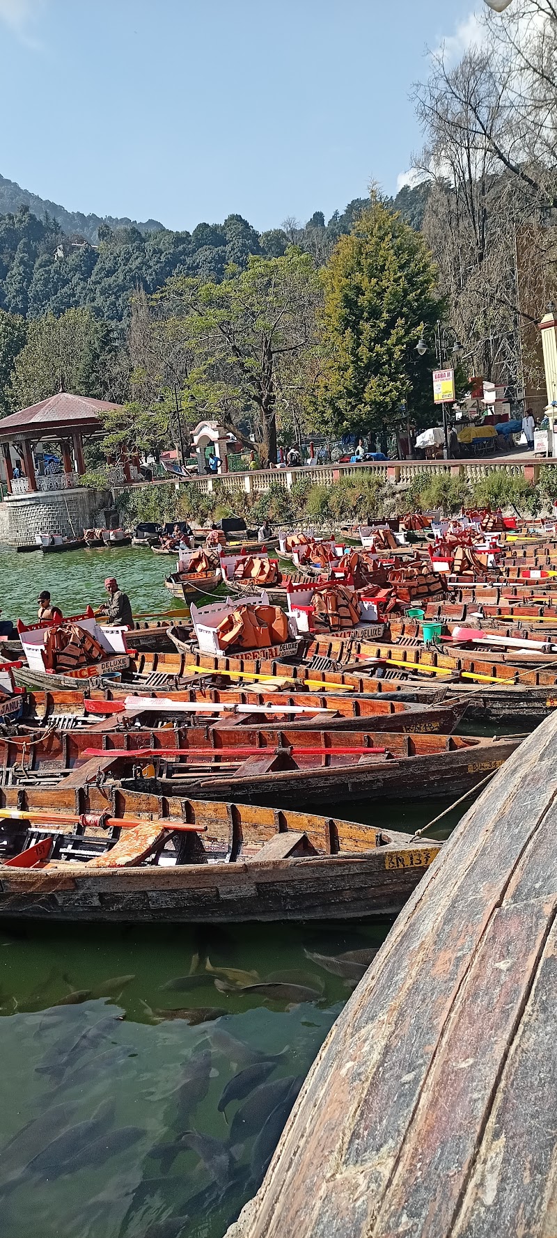 Peddle Boat Stand Flats - Peddle Boat Stand Flats, 9FQ4+X4V, Near Rink Hall, Ayarpatta, Nainital, Uttarakhand 263001, India
