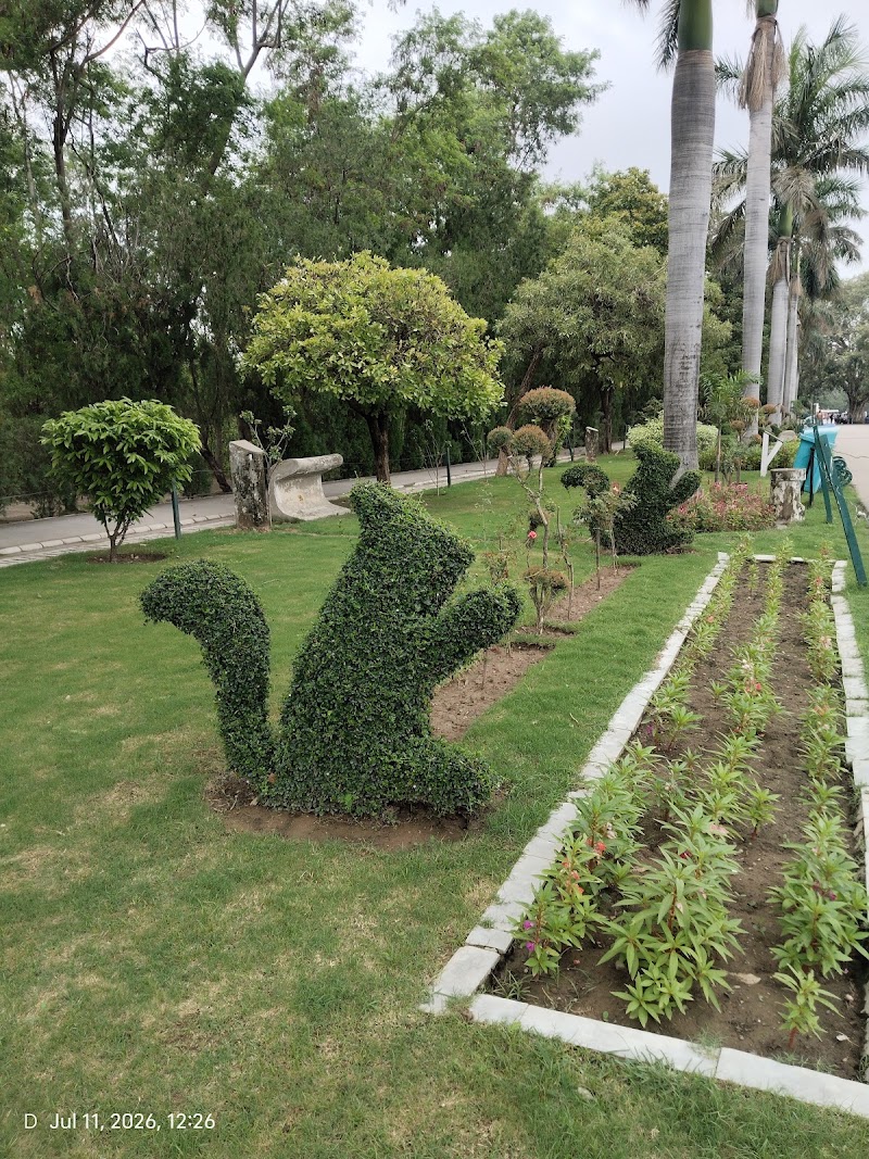 The Lake Peepal Tree - The Lake Peepal Tree PRR6+VV8, Sector 1, Chandigarh, 160001, India
