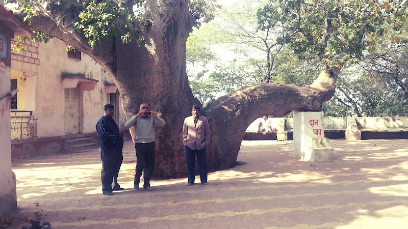 Kalp Vriksh Shiv Temple - Kalp Vriksh Shiv Temple, FJJX+MW4, Sarveshwar Nagar, Ajmer, Rajasthan 305001, India