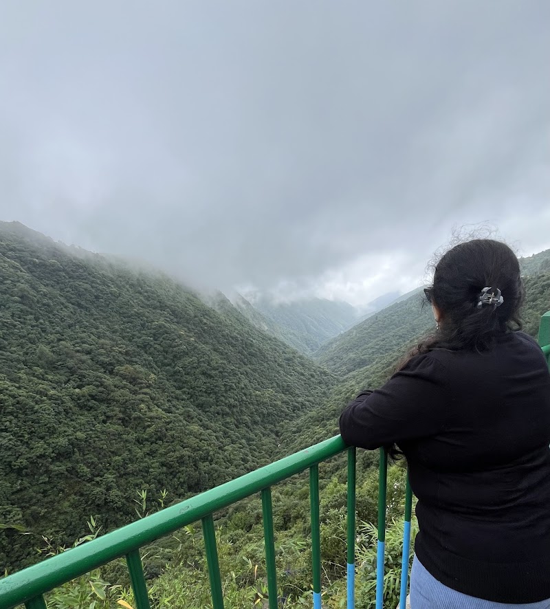 Mawkdok dympep valley - Mawkdok dympep valley CQCR+PJ9, Sohra, Meghalaya 793108, India