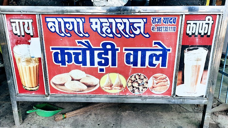 Guru Naga maharaj caters - Guru Naga maharaj caters RDA comple, Shop no 10, Vivekanand Nagar, Taigore Nagar, Raipur, Chhattisgarh 492001, India