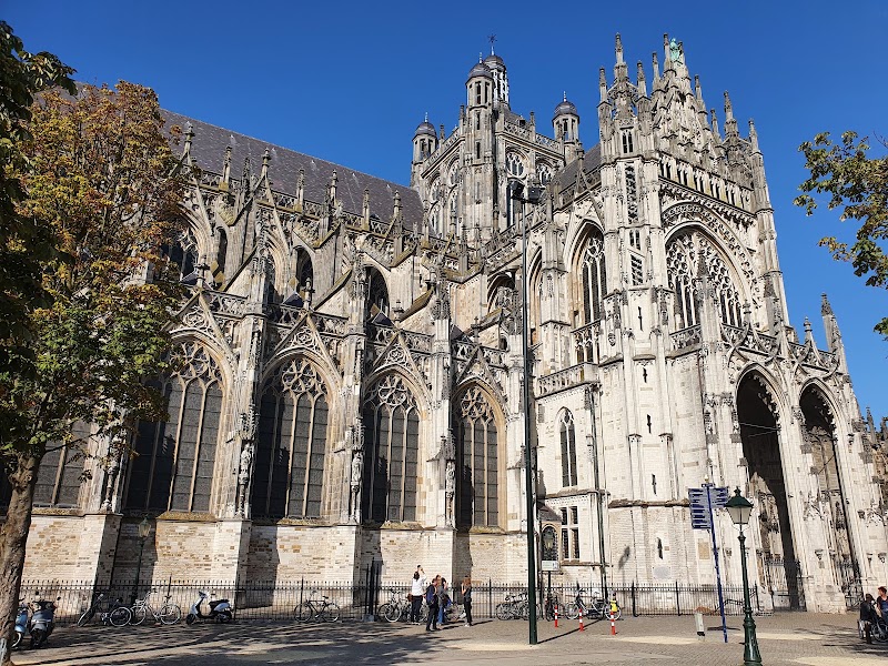 St John's Cathedral - St John's Cathedral, Torenstraat 16, 5211 KK 's-Hertogenbosch, Netherlands