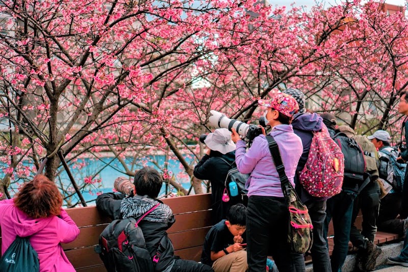 Trips@Asia - Asia Private Tours & Travel - Trips@Asia - Asia Private Tours & Travel Room 911, 9/F, Tai Yau Building, 181 Johnston Rd, Wan Chai, Hong Kong