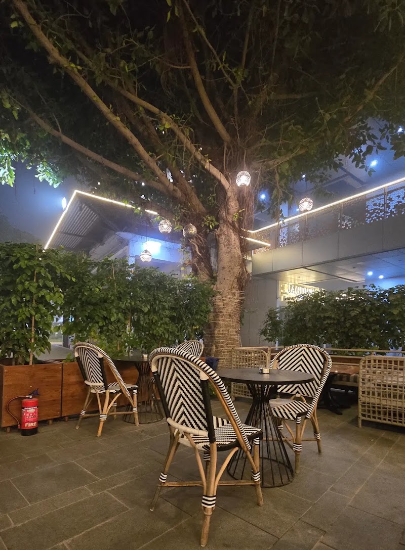 Cafe Soul Garden - Cafe Soul Garden Ug 11-12, Ascott Ireo City Central, Alahawas, Sector 59, Gurugram, Haryana 122098, India