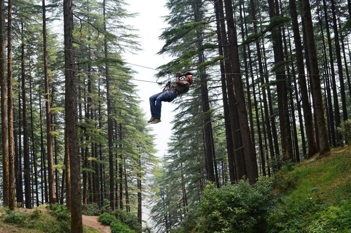 Kanatal Hill view Camping - Kanatal Hill view Camping, Chamba - Mussoorie Rd, Kanatal, Kaudia Range, Uttarakhand 249145, India