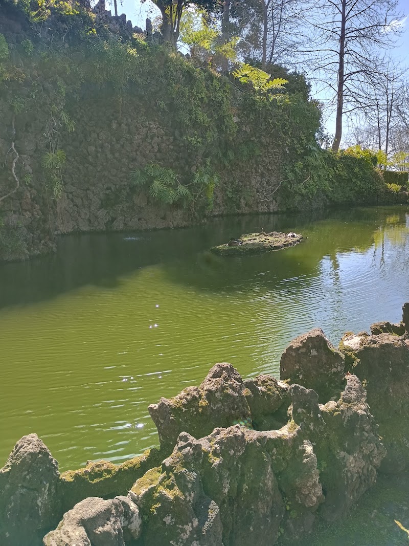 PR 3.1 Ribeira das Cales - PR 3.1 Ribeira das Cales Largo Fonte T 21 e 48, Monte, 9050-288 Funchal, Portugal