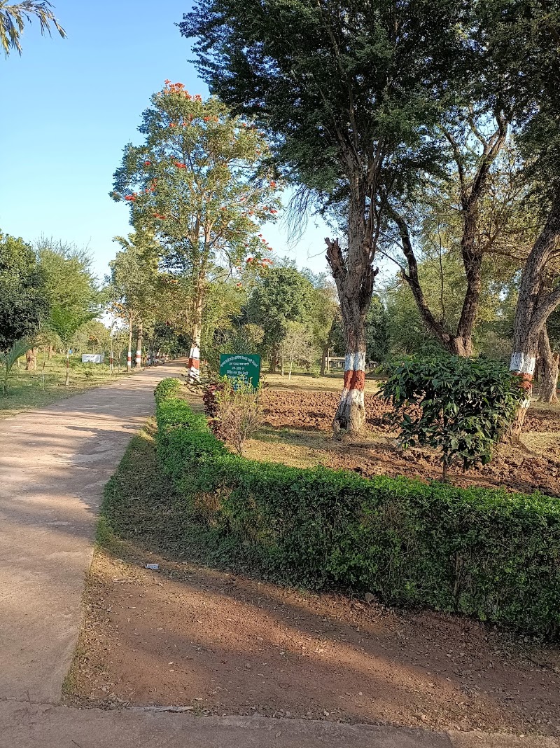Mana Nursery - Mana Nursery, 5P7P+M5F, Mana, Atal Nagar-Nava Raipur, Chhattisgarh 492016, India