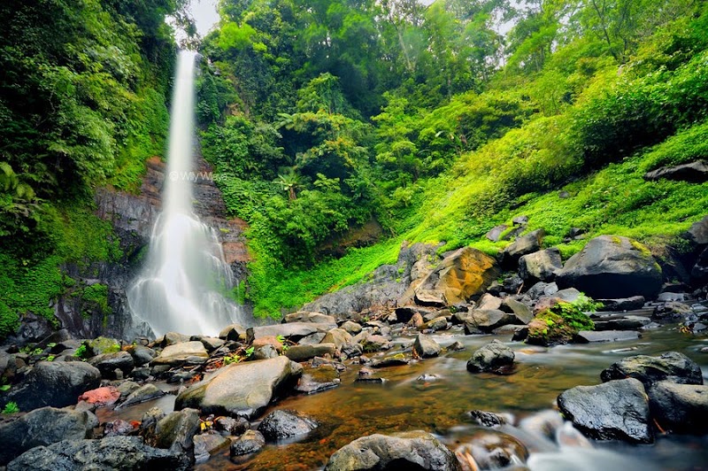 Krishna Bali Tours - Krishna Bali Tours, Jl. Akasia Raya I, Sumerta, Kec. Denpasar Tim., Kota Denpasar, Bali 80239, Indonesia
