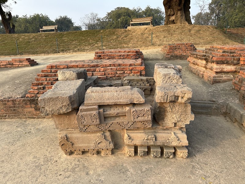 Sarnath archaeological garden - Sarnath archaeological garden, 92JF+FXH, Sarnath, Varanasi, Uttar Pradesh 221007, India