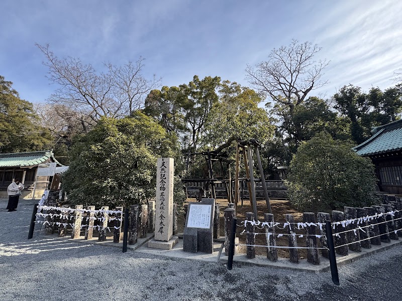 Mishima Taisha - Mishima Taisha 2-chōme-1-5 Ōmiyachō, Mishima, Shizuoka 411-0035, Japan