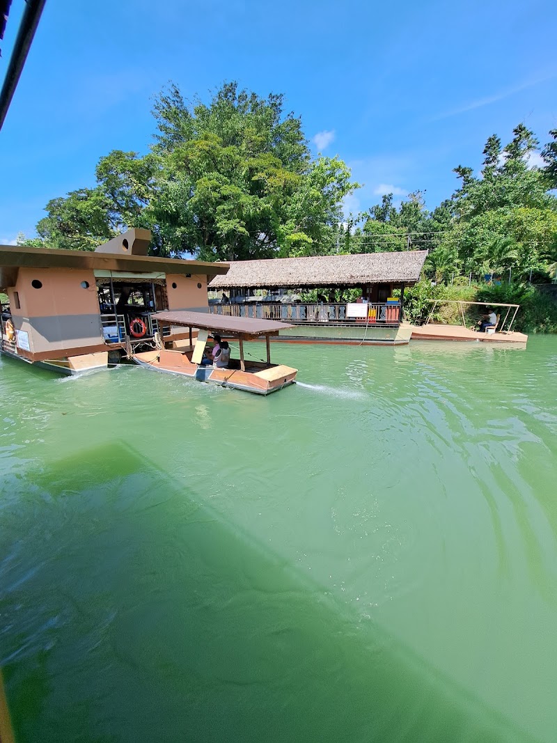 Affordable Bohol Tour Packages | Incon Bohol Tours - Affordable Bohol Tour Packages | Incon Bohol Tours, Old Poblacion-Salvacion Rd, Sawang, Municipality of Loboc, 6316 Bohol, Philippines