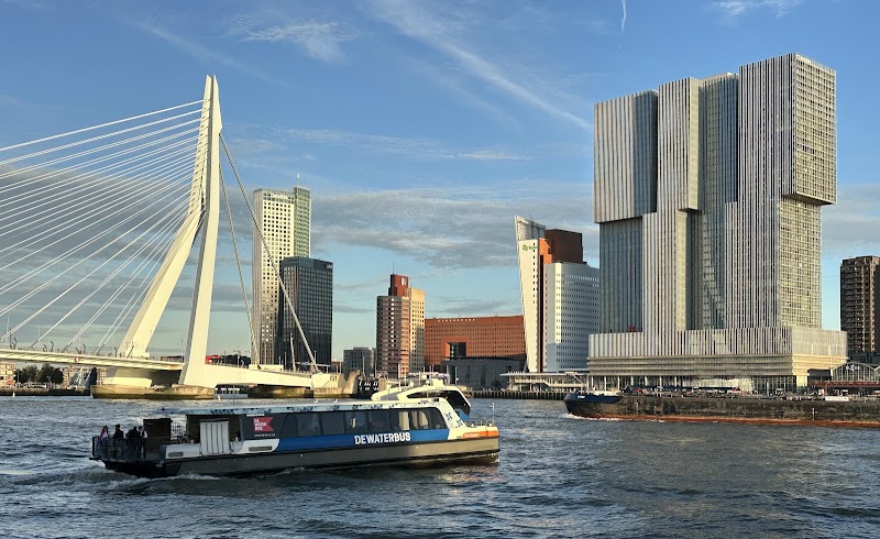 Waterbus - Waterbus Erasmusbrug - Stormpolder, 3016 DK Rotterdam, Netherlands